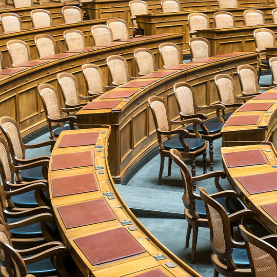 GOVERNMENT Section Image